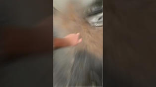 Thumbnail for Buffoonery: you know your Ford Falcon has gotten a little bit warm | FunnyMemeSpot Backup