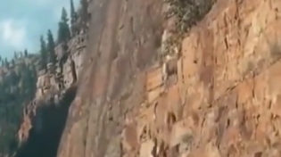 Thumbnail for Goats run up a near vertical rockface