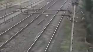 Thumbnail for The Pajeet Predator: Trains of Terror [Attenborough Narration]