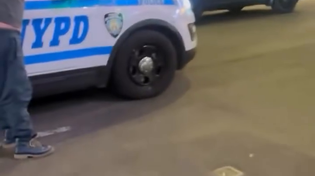 Thumbnail for Triple Feature: Video Evidence of Shmuley Running Like Portnoy, Wearing a Crop Top, and Exaggerating Events (Lying) to Police