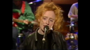 Thumbnail for The Beautiful South - Bell Bottomed Tear [Live] | Paul Roach