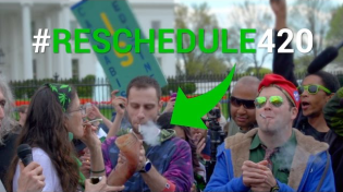Thumbnail for Protesters Smoke Weed Outside of the White House