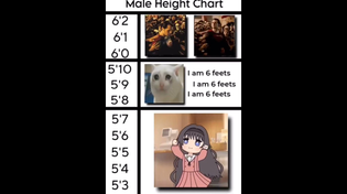 Thumbnail for Male Height Chart | FunnyMemeSpot Backup