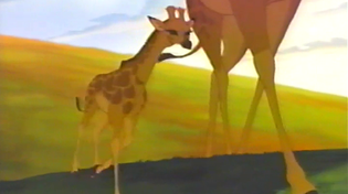 Thumbnail for The Lion King 1995 VHS