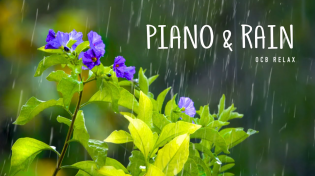 Thumbnail for Rain Sounds & Relaxing Music 24/7 - Piano Music, Sleep, Study, Yoga, Stress Relief, Meditation | OCB Relax Music