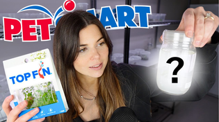 Thumbnail for I found something GROSS in the Petsmart Tissue Cultures | Plants in Jars