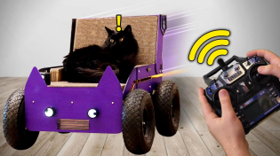 Thumbnail for We built our cat a remote controlled bed | Evan and Katelyn