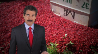 Thumbnail for Stossel: Departments Grow and Cherries Rot