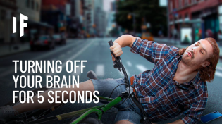 Thumbnail for What If Your Brain Stopped Working for 5 Seconds? | What If
