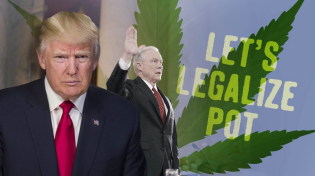 Thumbnail for Marijuana Policy in the Trump Era