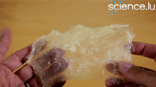 Thumbnail for Make bioplastic by yourself! | ScienceLuxembourg