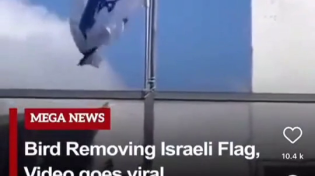 Thumbnail for ADL calls for immediate capture of Antisemitic Crow ...