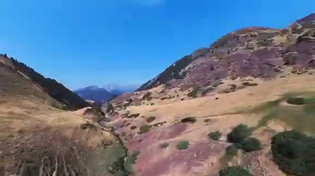 Thumbnail for Cow gets a nice helicopter ride after being stuck on a steep slope in Spain
