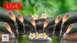 Thumbnail for 🔴 Spa Music 24/7, Stress Relief Music, Relaxation Music, Massage Music, Sleep Music, Waterfall | Chan Peaceful Piano