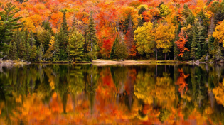Thumbnail for Autumn in New England, Peaceful Instrumental Music, "Autumn Quiet Lake " By Tim Janis | Tim Janis