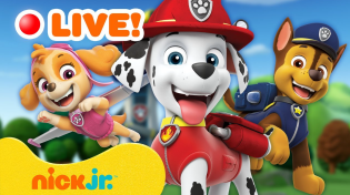 Thumbnail for 🔴 LIVE: BEST PAW Patrol Rubble Moments from Seasons 1, 2, & 3!! | Rubble & Crew | Rubble & Crew