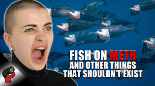 Thumbnail for Fish on Meth and Other Things That Shouldn't Exist | Grunt Speak Live