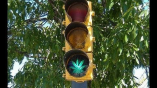 Thumbnail for Marijuana Legalization's Bright Future with Rob Kampia