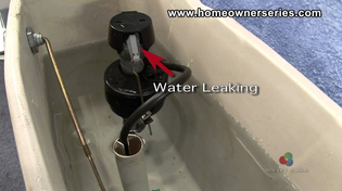 Thumbnail for How to Fix a Toilet - Diagnostics - Internal Leaking | HomeownerSeries