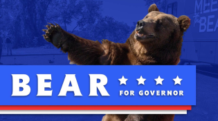 Thumbnail for Vote Bear