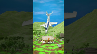 Thumbnail for Crocodile Caused A Plane Crash 😨 | Zack D. Films