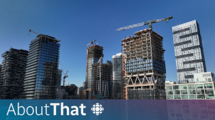 Thumbnail for Want to solve the housing crisis? Build these, experts say | About That
