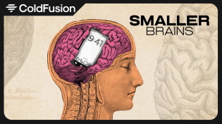 Thumbnail for How Smartphones Shrink Our Brains | ColdFusion