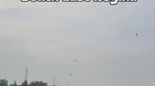 Thumbnail for Indian Kite Festival