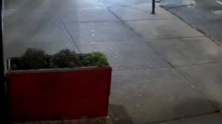 Thumbnail for NYC Zoomer Plays IRL Minecraft