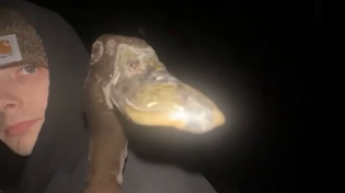 Thumbnail for Me comforting @postwallhelena as she proceeds to have the worst and most incorrect take imaginable 