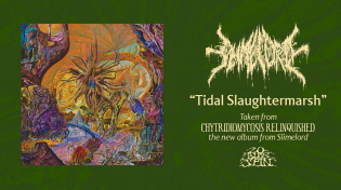Thumbnail for SLIMELORD - Tidal Slaughtermarsh (From 'Chytridiomycosis Relinquished' LP, 2024) | 20buckspinlabel