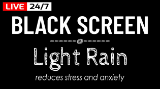 Thumbnail for Light Rain Sounds with Black Screen for Deep Sleeping & Focus, Live Rain 24/7 | Sounds of Peaceful