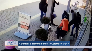 Thumbnail for Antifa hammer attack in Germany