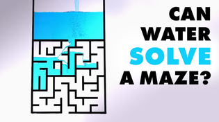 Thumbnail for Can water solve a maze? | Steve Mould