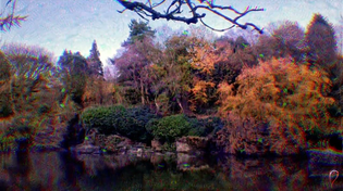 Thumbnail for LSD Peak Simulation Replication | Wooodfield