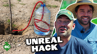 Thumbnail for Pro Gardeners React To Futuristic Gardening Hacks | Epic Gardening