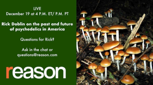 Thumbnail for The Past and Future of Psychedelics with Rick Doblin