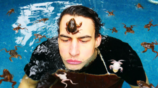 Thumbnail for frogs keep drowning themselves in my pool | I did a thing