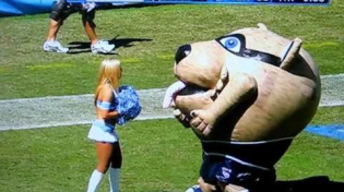 Thumbnail for Mascot Eats Cheerleader - Tennessee Titans' T-RAC devours blonde