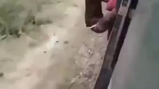 Thumbnail for Shitjeets on a train