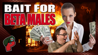 Thumbnail for Bait for the Beta Males | Popp Culture