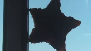 Thumbnail for Starfish Hitler