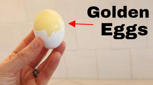 Thumbnail for How To Mix An Egg Inside Its Shell | The Action Lab