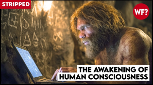 Thumbnail for The Awakening of Human Consciousness | Forbidden Fungus (STRIPPED) | The Why Files