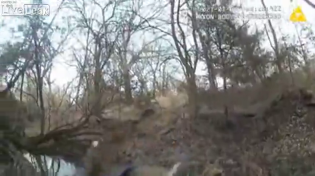 Thumbnail for Game Warden Fires Perfect Shot To Separate Two Deer With Locked Antlers