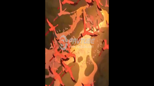 Thumbnail for The Lion King