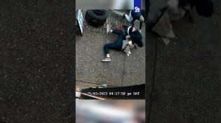 Thumbnail for Shocking video of Senator Rand Paul staffer stabbed in DC | WUSA9