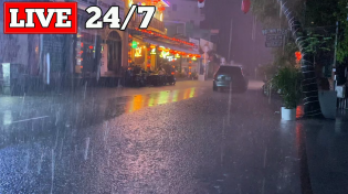 Thumbnail for Night Storm Rain at Bustling Restaurant - Heavy Rain & Strong Winds with Thunder Sounds for Sleeping | LUCASTA