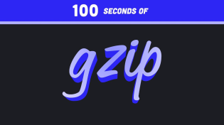 Thumbnail for gzip file compression in 100 Seconds | Fireship
