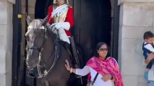 Thumbnail for King's Horse Guard tries to bite pajeet